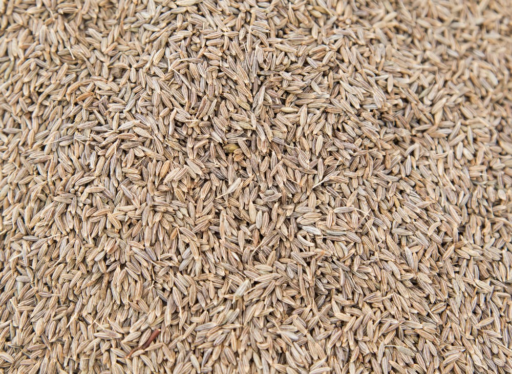 Cumin Seeds